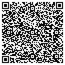 QR code with Bloomquist Painting contacts