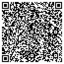 QR code with Premier Inspections contacts