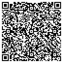 QR code with Cedar Valley Painting contacts