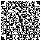 QR code with Professional Carpet Systems contacts