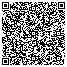 QR code with Spring TX Window Tinting contacts