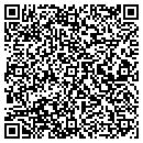 QR code with Pyramid Audio Records contacts