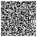 QR code with Carter Construction contacts