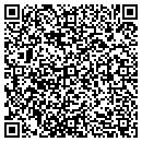 QR code with Ppi Towing contacts