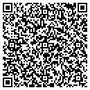 QR code with Premier Towing contacts