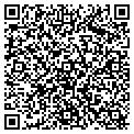 QR code with Vascor contacts