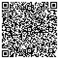 QR code with Dig It contacts
