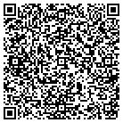 QR code with Professional Painting Ser contacts