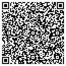 QR code with Pro Painters contacts