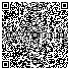 QR code with Psi Construction Testing contacts