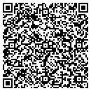 QR code with Professional Premix contacts