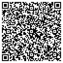 QR code with Precision Painting contacts