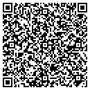 QR code with Professional Coatings contacts