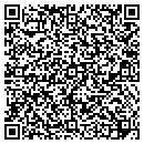 QR code with Professional Painting contacts