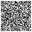 QR code with Cognisa Security Inc contacts