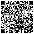 QR code with Avon contacts