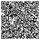 QR code with Blue Hill Painting Inc contacts