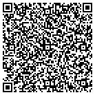 QR code with City Wide Testing Inc contacts