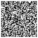 QR code with Pr Bobcat Inc contacts