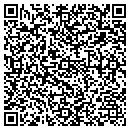 QR code with Pso Travel Inc contacts