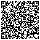 QR code with Pse Home Inspection contacts
