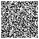 QR code with Bausch Painting Paul contacts