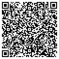 QR code with Pitts Backhoe contacts