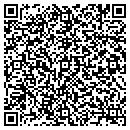QR code with Capitol City Painting contacts