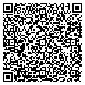 QR code with Vitelli contacts