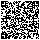 QR code with Pro Link Sales contacts