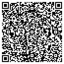QR code with Premier Turf contacts