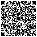 QR code with Cervi's Excavating contacts