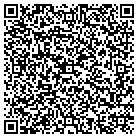 QR code with Bluwire Group LLC contacts