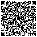 QR code with Cook Inlet Landscapes contacts