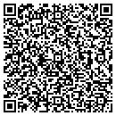 QR code with Pro Recovery contacts