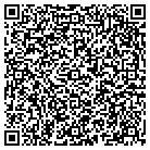 QR code with C L R Diversified Services contacts
