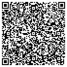 QR code with Badger Daylighting Corp contacts