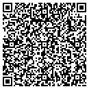 QR code with C J's Fire Support contacts