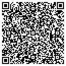 QR code with Colors Custom Painting contacts