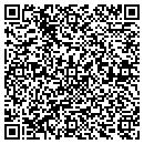 QR code with Consulting Geologist contacts