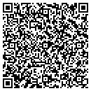 QR code with Costin Consulting contacts
