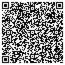 QR code with Blr Chiropractic contacts