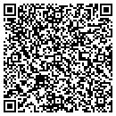 QR code with Pyle Painting contacts