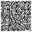 QR code with Pro Fit Testing L L C contacts
