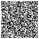 QR code with Carter Painting Inc contacts