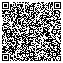 QR code with Puchisoft contacts
