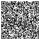 QR code with Pro 1 I A Q contacts