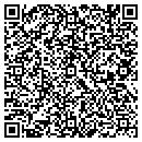 QR code with Bryan Newton Painting contacts
