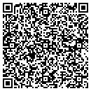 QR code with Caseys Painting Inc contacts