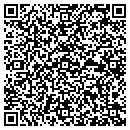 QR code with Premier Upgrade Test contacts